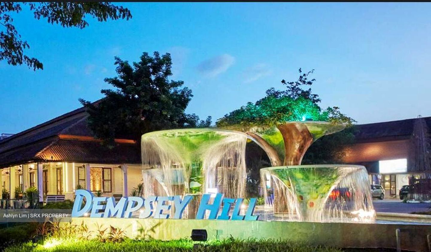 Tanglin Hill Villas (D10), Detached #455943661